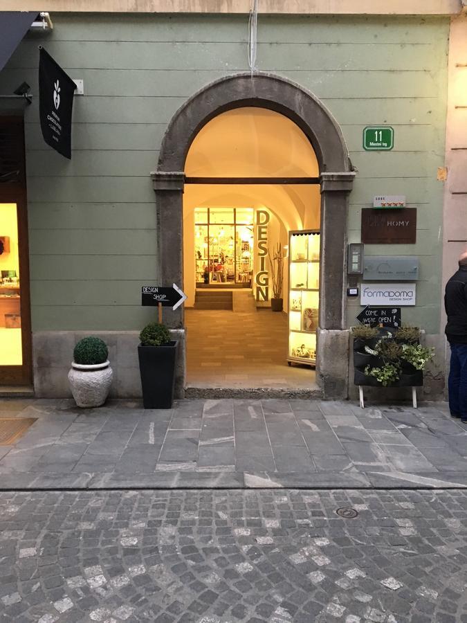 Urban Homy Ljubljana Bed & Breakfast Bagian luar foto